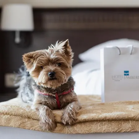 兰伯特spa疗养酒店 酒店