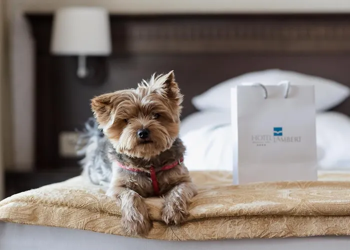 Lambert Medical Hotel